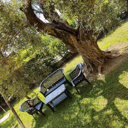 Magnolia House Διαμέρισμα Scanzano Jonico Εξωτερικό φωτογραφία