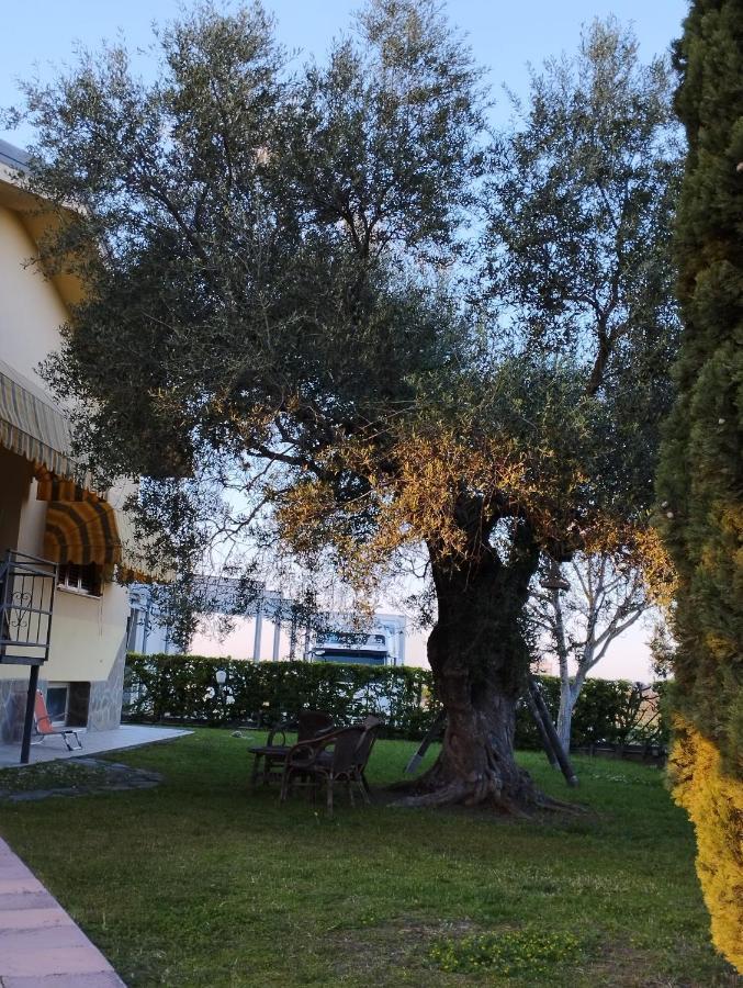 Magnolia House Διαμέρισμα Scanzano Jonico Εξωτερικό φωτογραφία